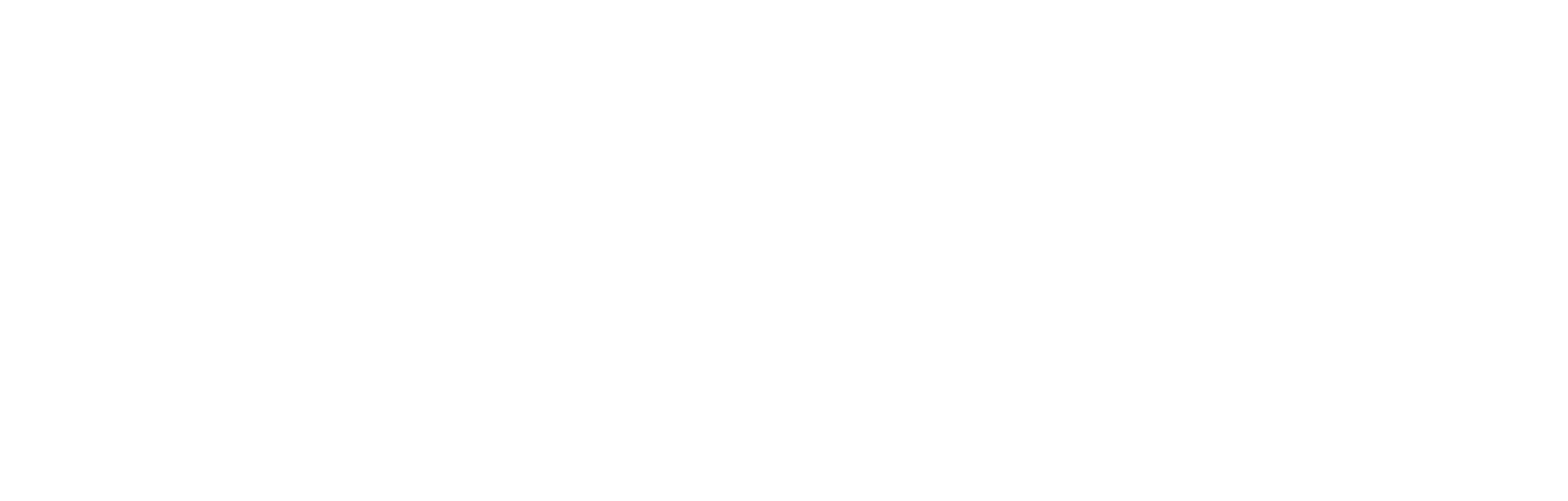Logo Irene in Balans wit-transparant